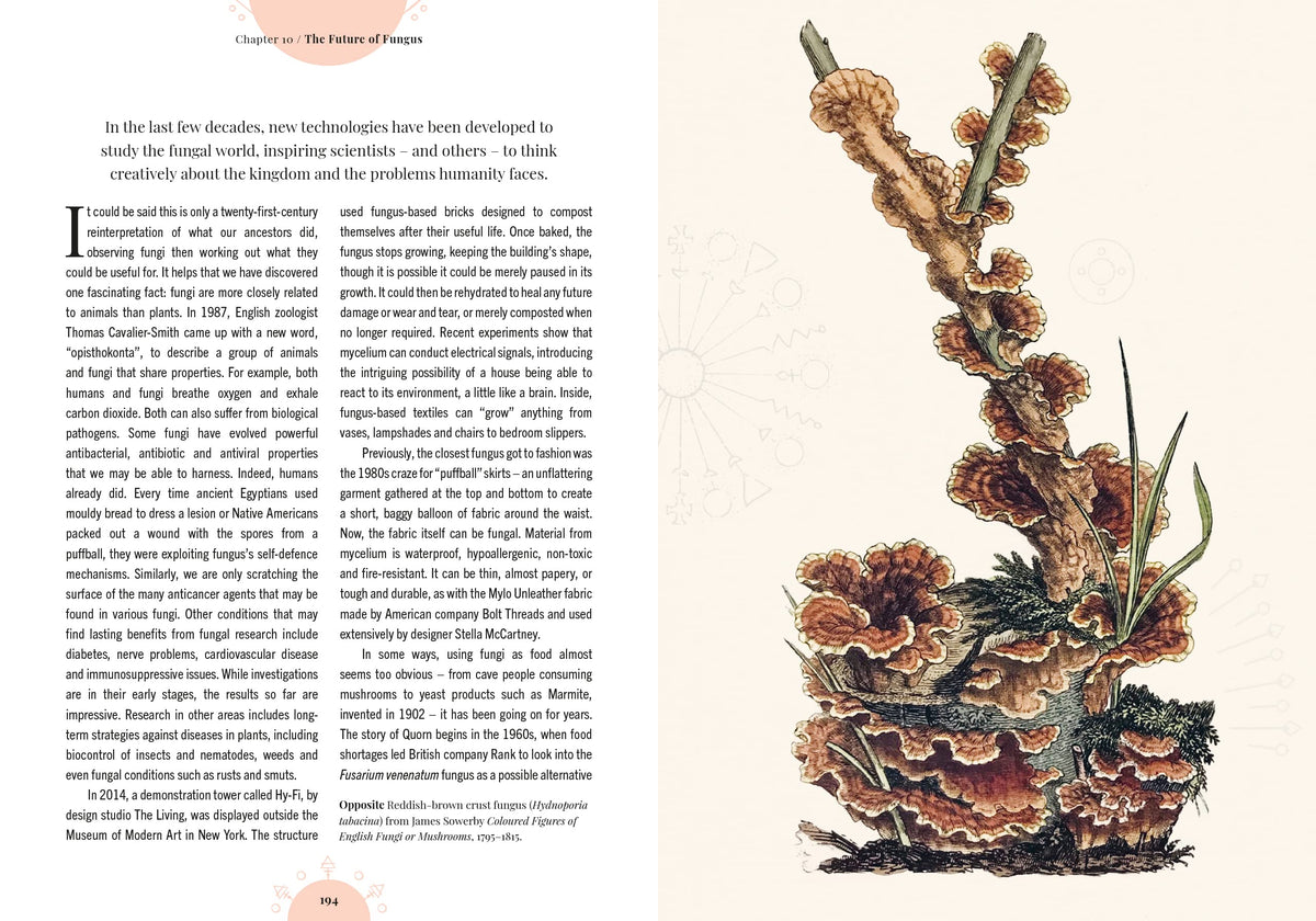 Kew - The Magic of Mushrooms: Fungi in folklore, superstition and traditional medicine (Royal Botanic Gardens, Kew)
