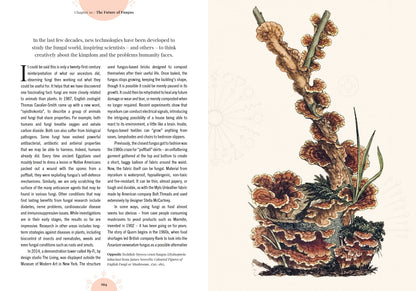 Kew - The Magic of Mushrooms: Fungi in folklore, superstition and traditional medicine (Royal Botanic Gardens, Kew)