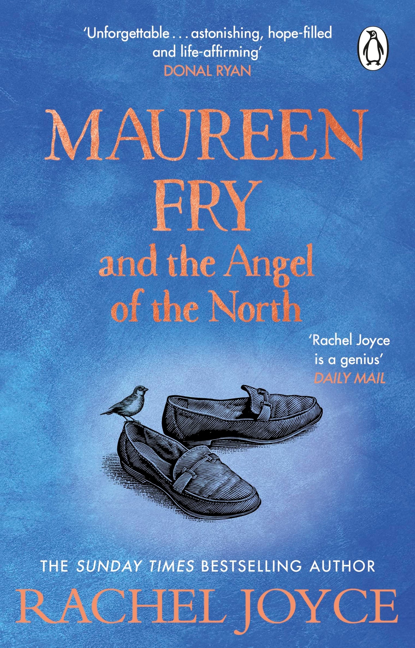 Maureen Fry and the Angel of the North book cover