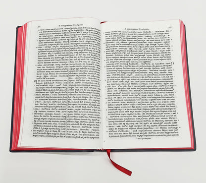 TELUGU HOLY BIBLE O.V.-N.F BSI Version Containing Old and New Testament Updated