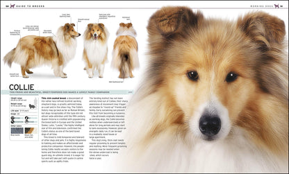 The Complete Dog Breed Book, New Edition