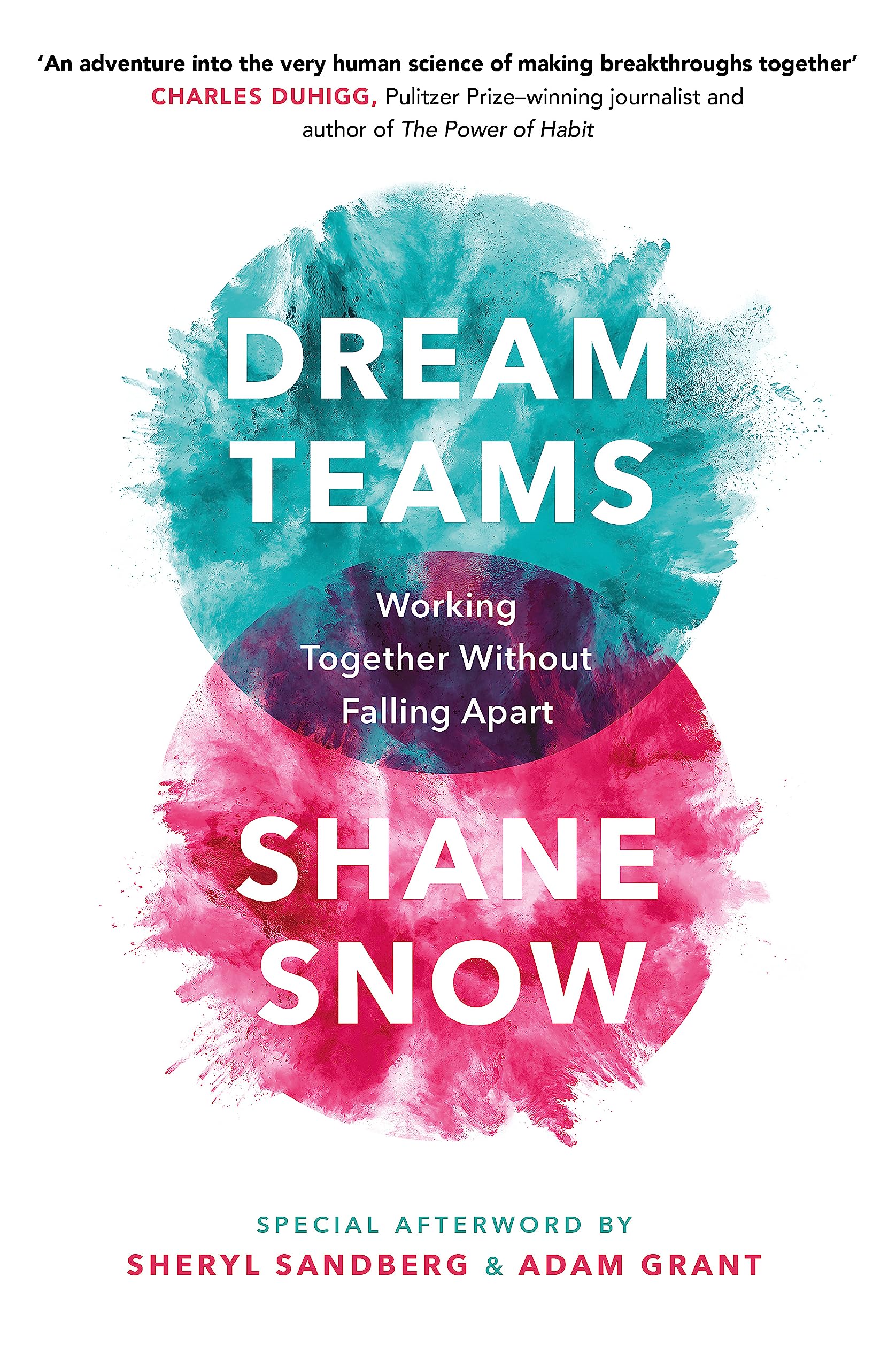 DREAM TEAMS: WORKING TOGETHER WITHOUT FALLING APART book cover