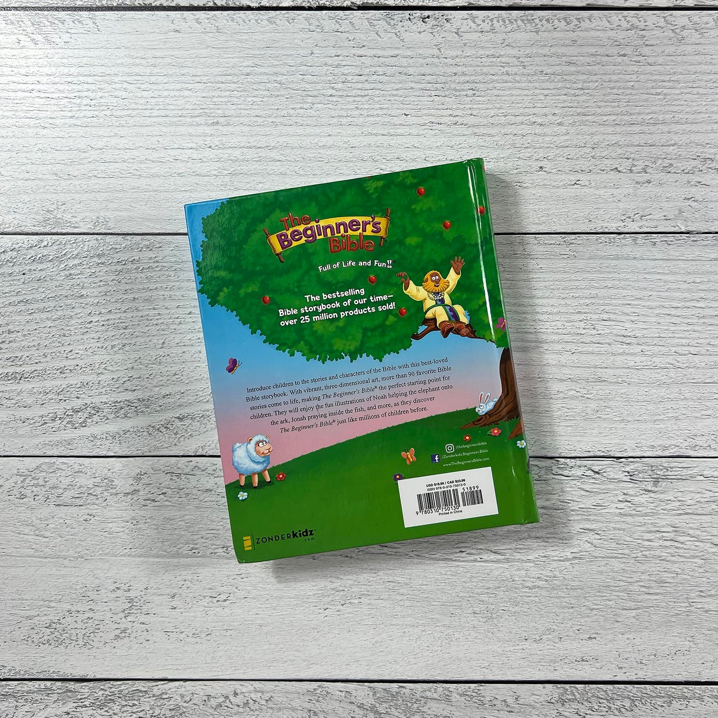 The Beginner's Bible: Timeless Children's Stories