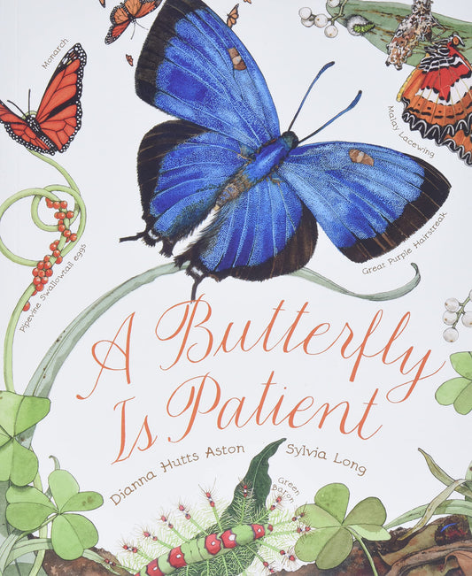 A Butterfly Is Patient: (Nature Books fo: (Nature Books for Kids  Children's Books Ages 3-5  Award Winning Children's Books) (Family Treasure Nature Encylopedias) by Dianna Aston (Author), Sylvia Long (Illustrator) book cover