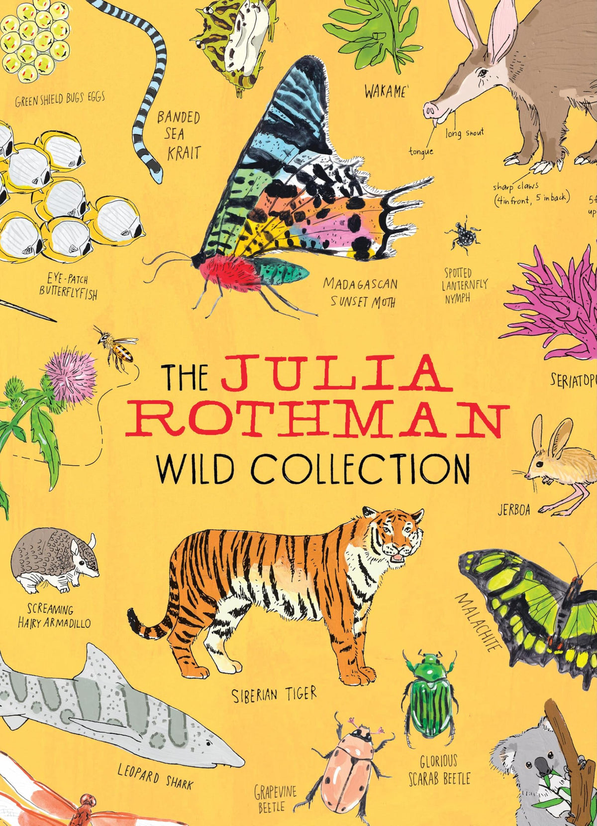 The Julia Rothman Wild Collection: Ocean Anatomy, Wildlife Anatomy, Insect Anatomy