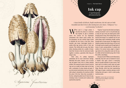Kew - The Magic of Mushrooms: Fungi in folklore, superstition and traditional medicine (Royal Botanic Gardens, Kew)