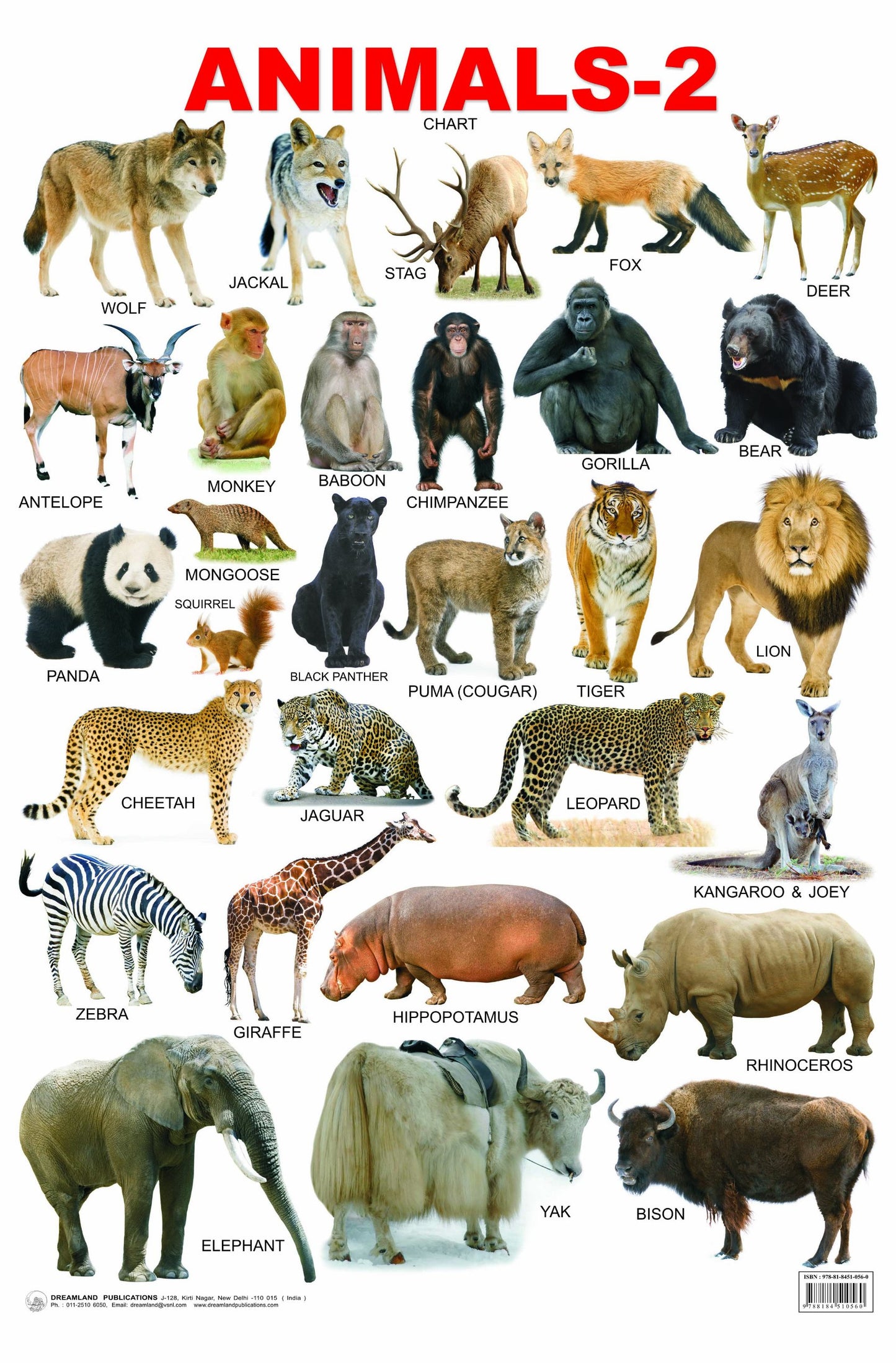 Animals-2 book cover