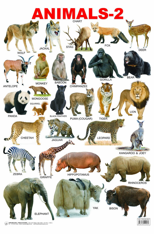 Animals-2 book cover