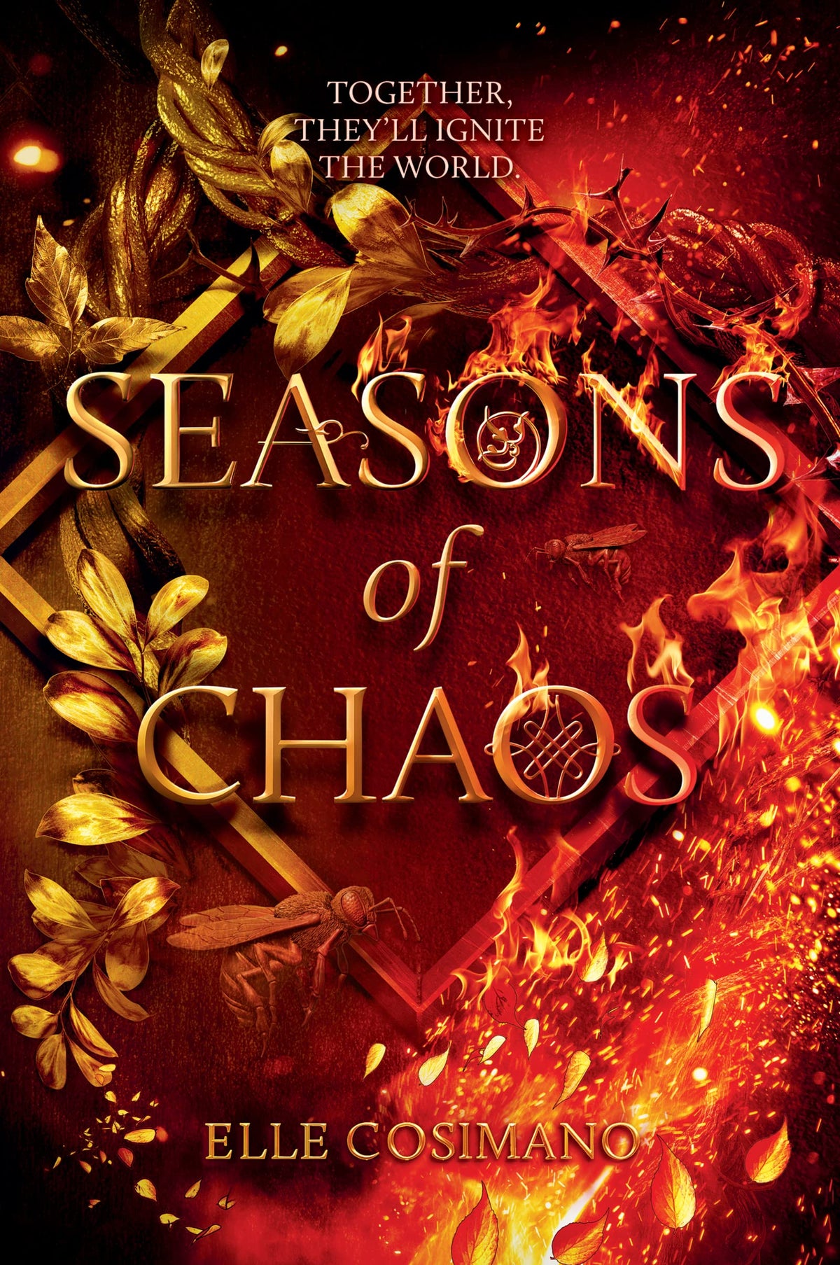SEASONS OF CHAOS book cover
