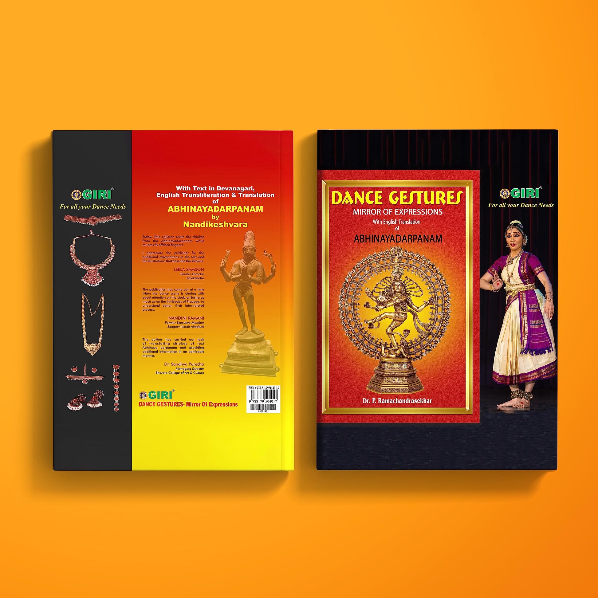 Dance Gestures - Mirror Of Expressions  book cover