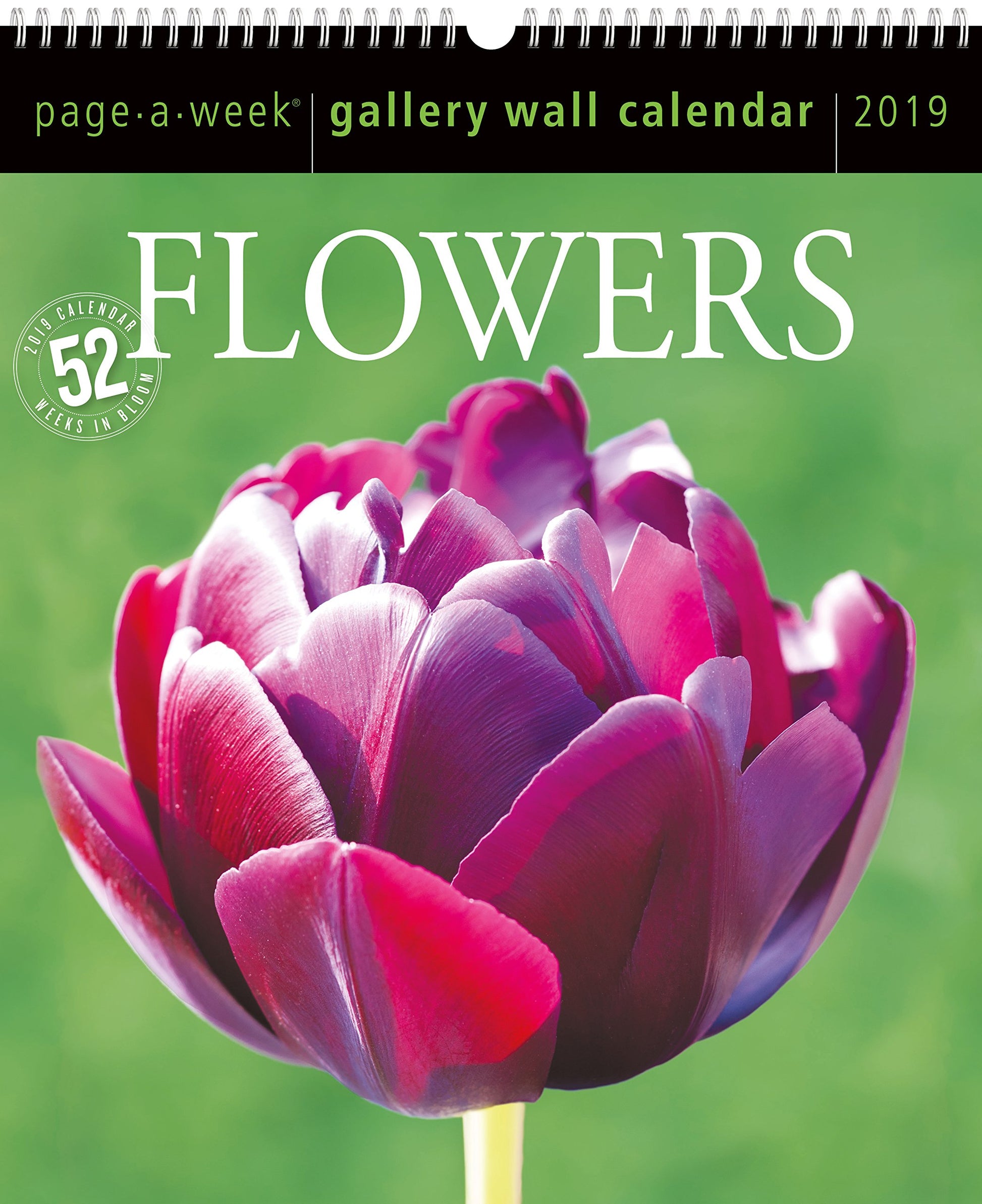 Flowers Page-A-Week Gallery Wall Calendar 2019 book cover