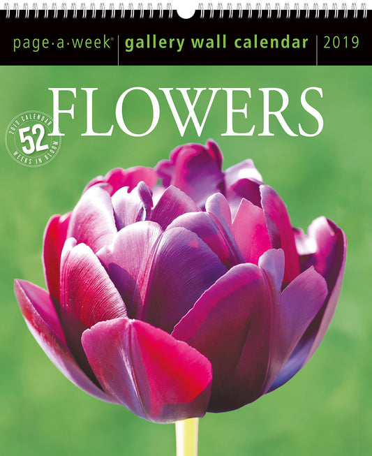 Flowers Page-A-Week Gallery Wall Calendar 2019 book cover