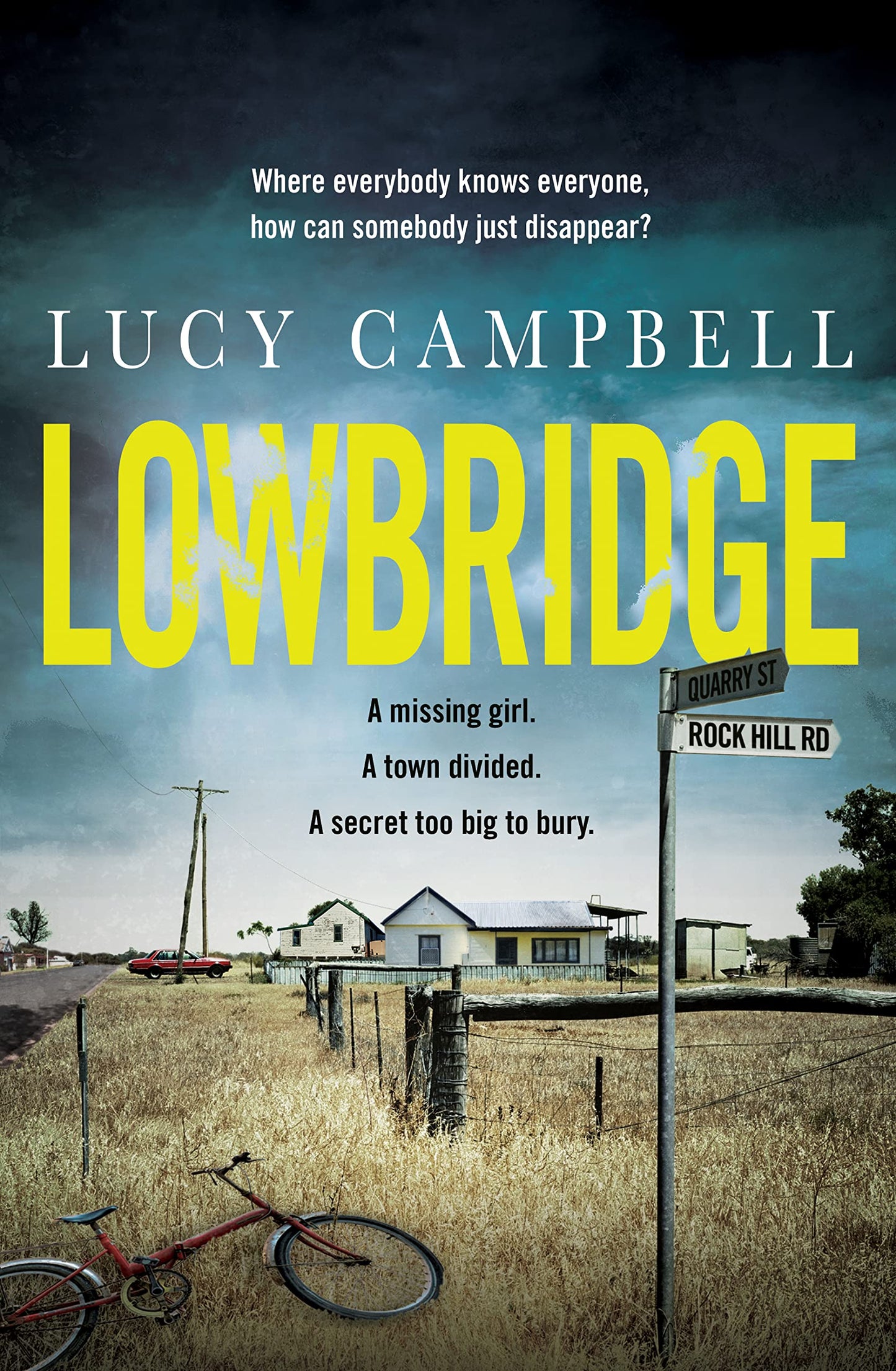 Lowbridge book cover