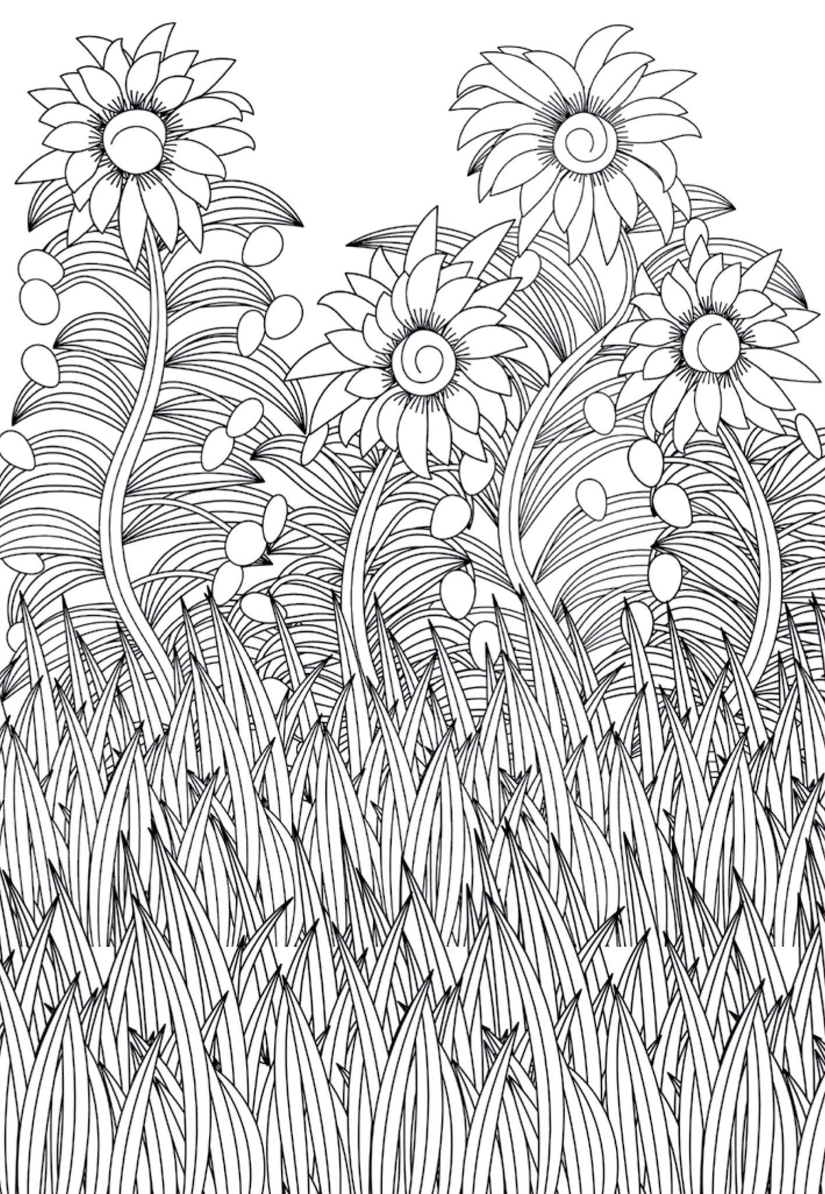 Set of 4 Mini Adult Colouring Pads including Patterns, Mandala, Doodles & Animals (mandala coloring book)