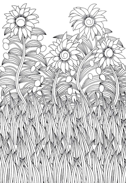Set of 4 Mini Adult Colouring Pads including Patterns, Mandala, Doodles & Animals (mandala coloring book)