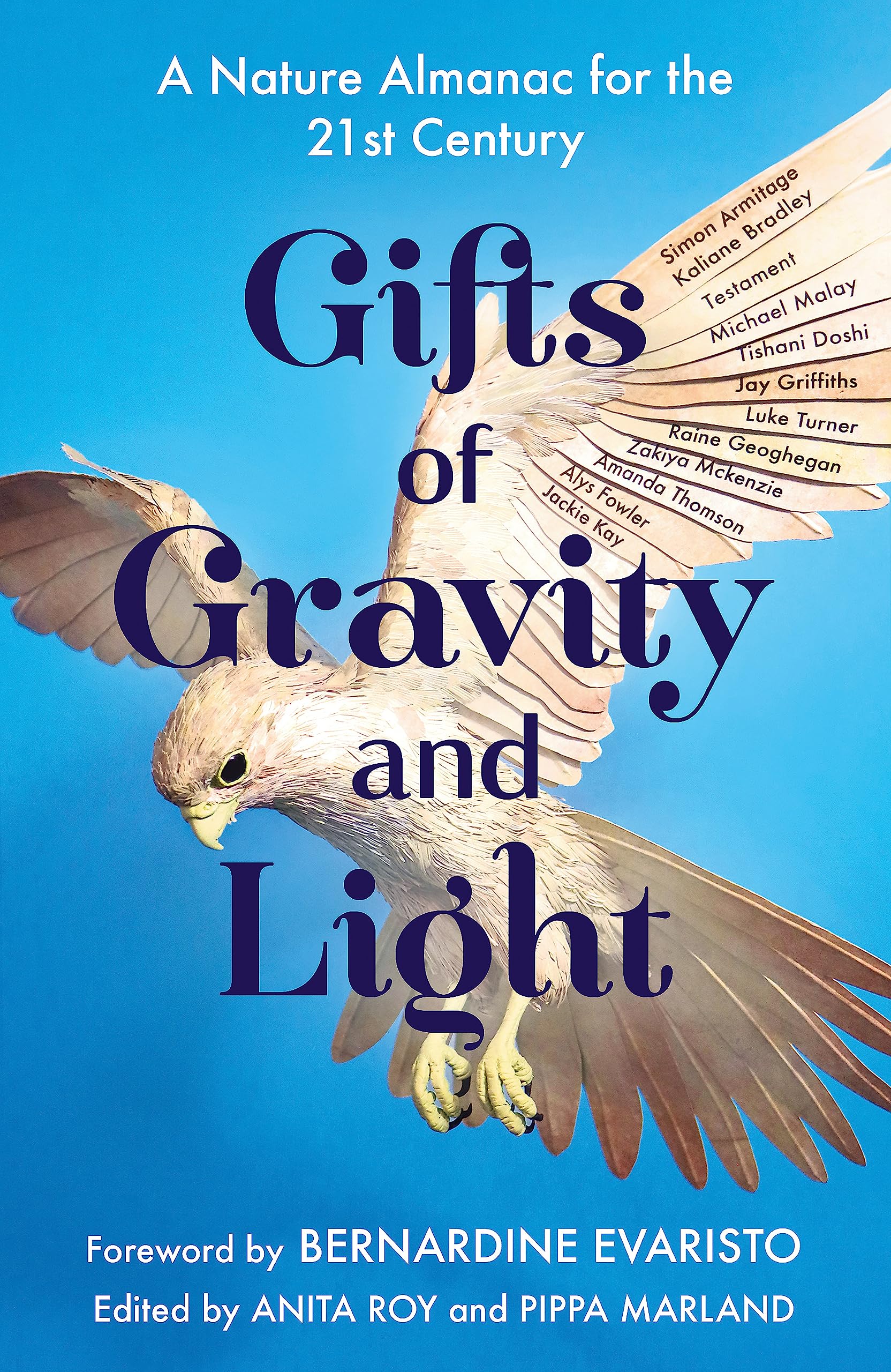 GIFTS OF GRAVITY AND LIGHT book cover