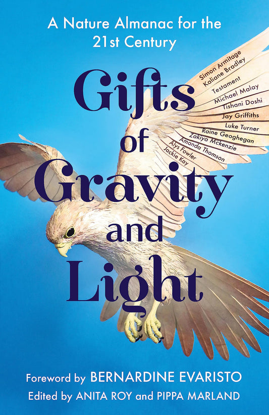 GIFTS OF GRAVITY AND LIGHT book cover