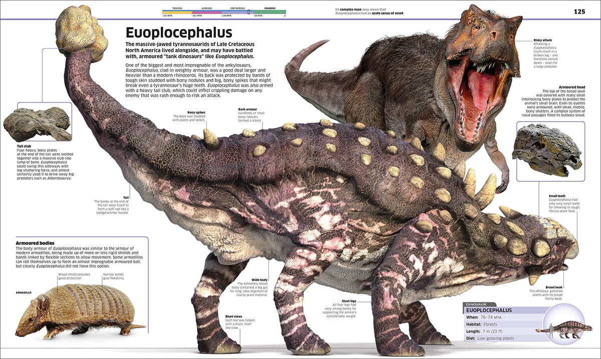 Knowledge Encyclopedia Dinosaur! An Illustrated Encyclopedia for Kids on Dinosaurs Extinction, Fossils, Prehistoric Life & Evolution