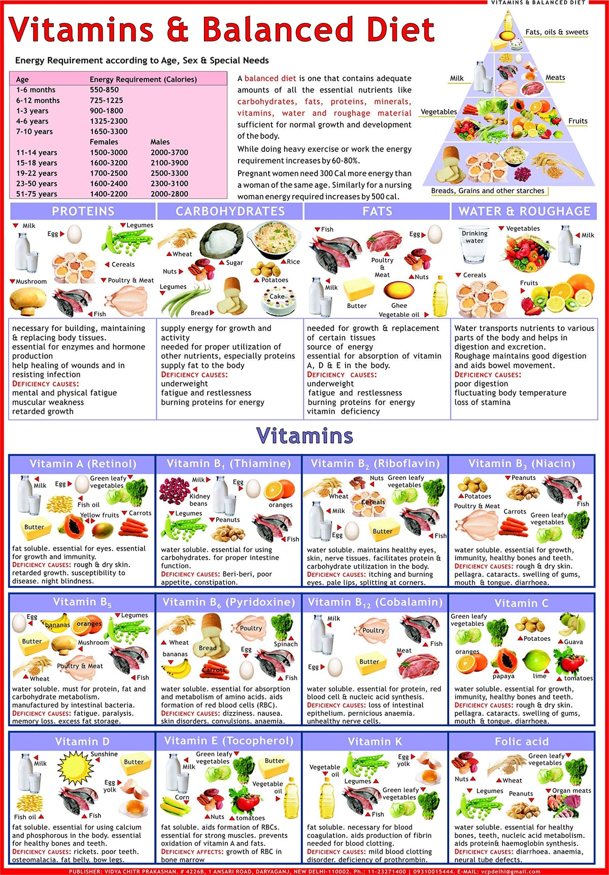 Balanced Diet & Vitamin Chart - Laminated ( 50 x 70 cm )