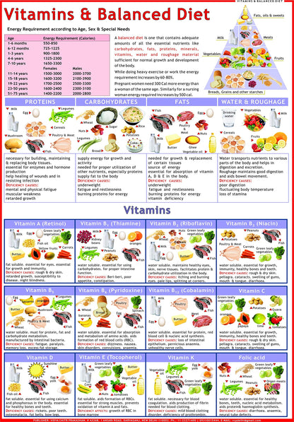 Balanced Diet & Vitamin Chart - Laminated ( 50 x 70 cm )