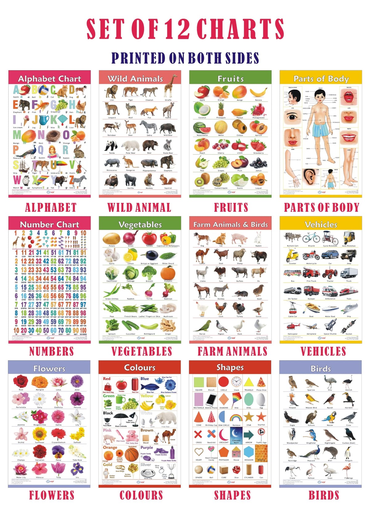 VCP Early Learning Educational Chart Set for Kids | Set of 12 LAMINATED Paper Charts (Printed on Both Sides) | Non-Tearable and Waterproof | Size : 31 x 46 cm | Alphabet, Numbers, Animals..