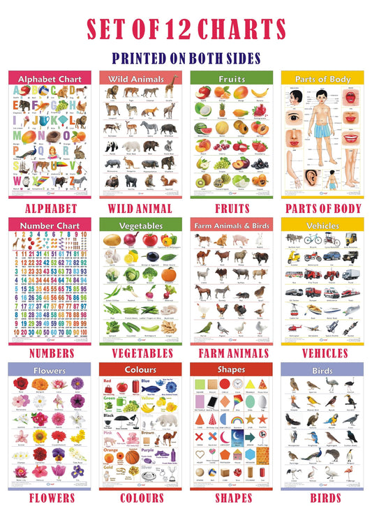 VCP Early Learning Educational Chart Set for Kids | Set of 12 LAMINATED Paper Charts (Printed on Both Sides) | Non-Tearable and Waterproof | Size : 31 x 46 cm | Alphabet, Numbers, Animals..