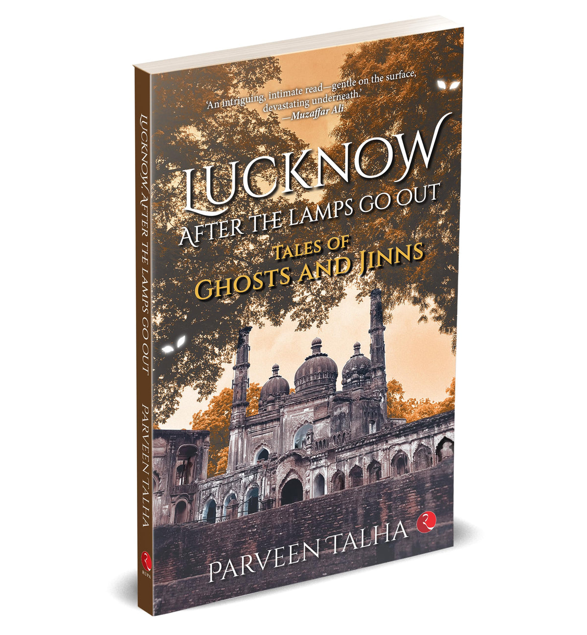 Lucknow, After the Lamps Go Out: Tales of Ghosts and Jinns