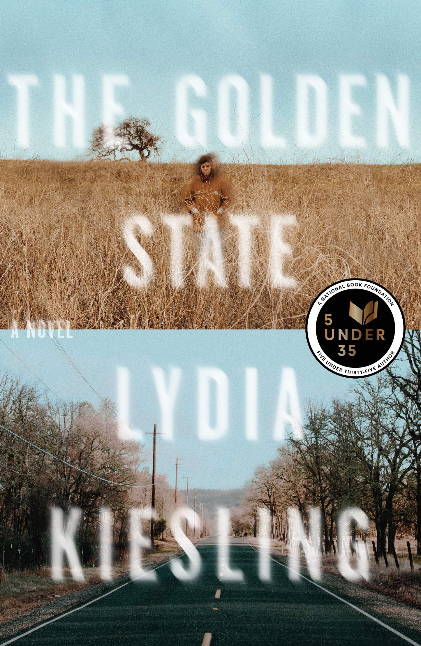 The Golden State: A Novel book cover