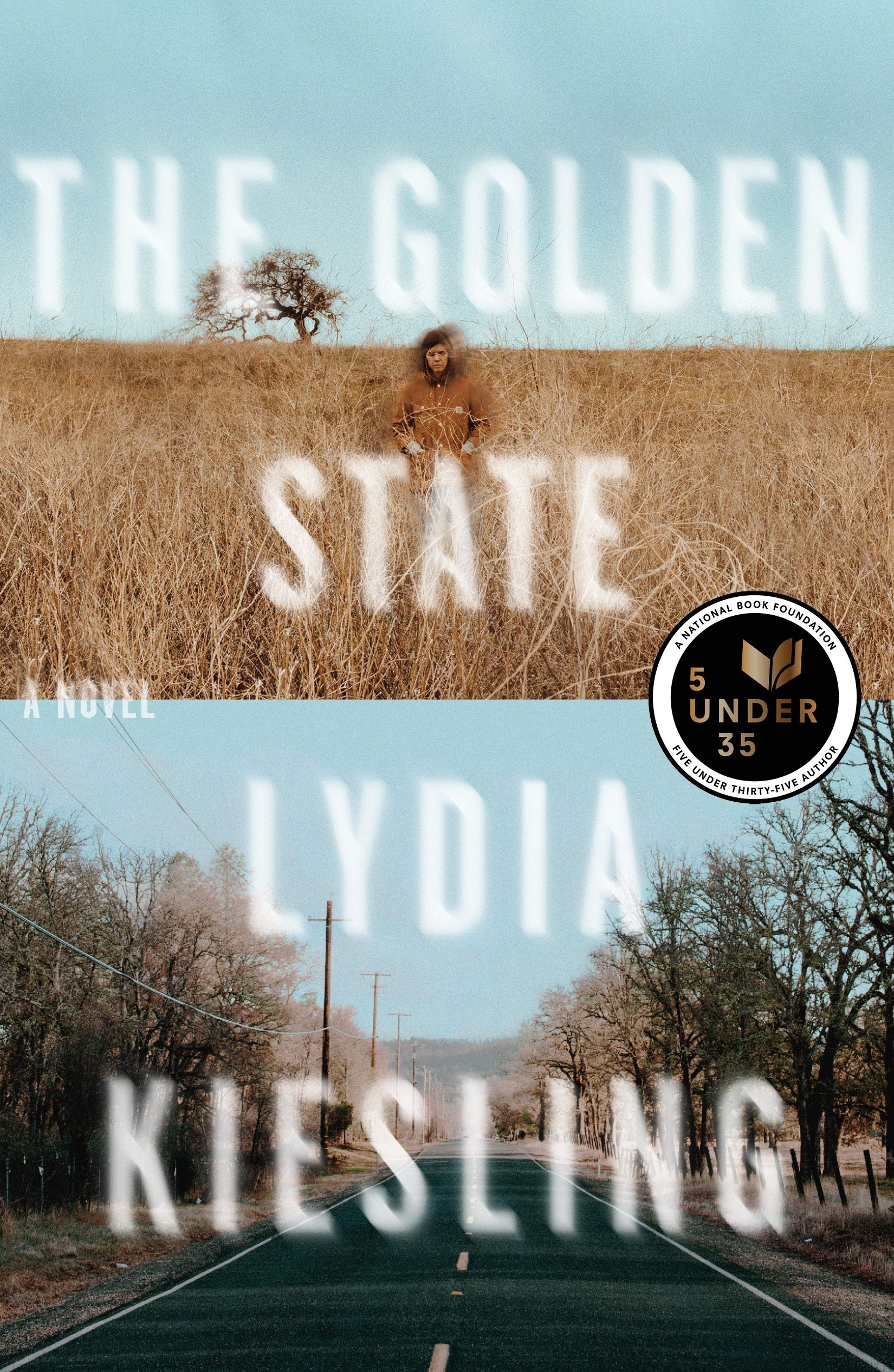 The Golden State: A Novel book cover