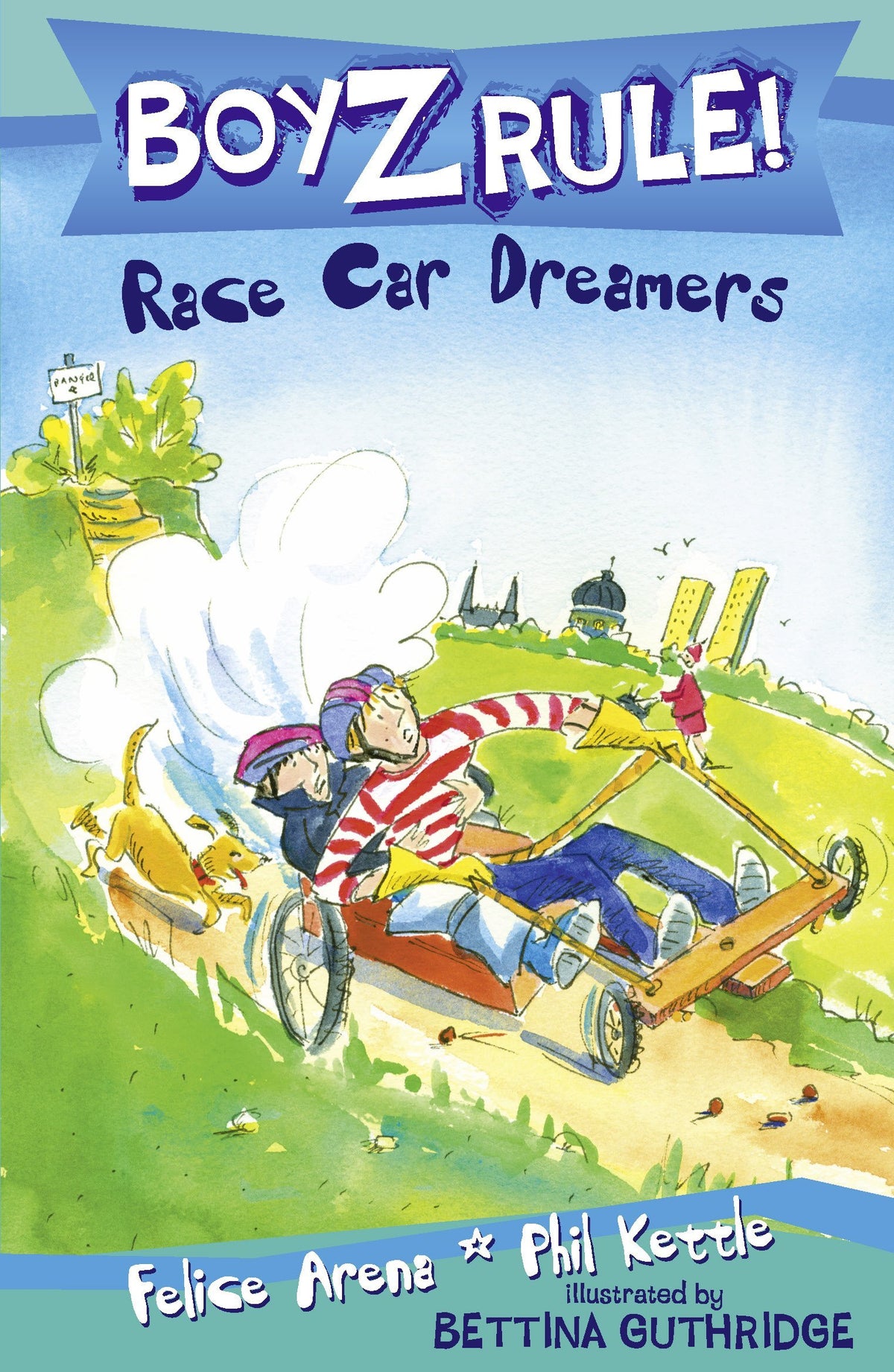 BOYZ RULE 21: RACE CAR DREAMERS book cover