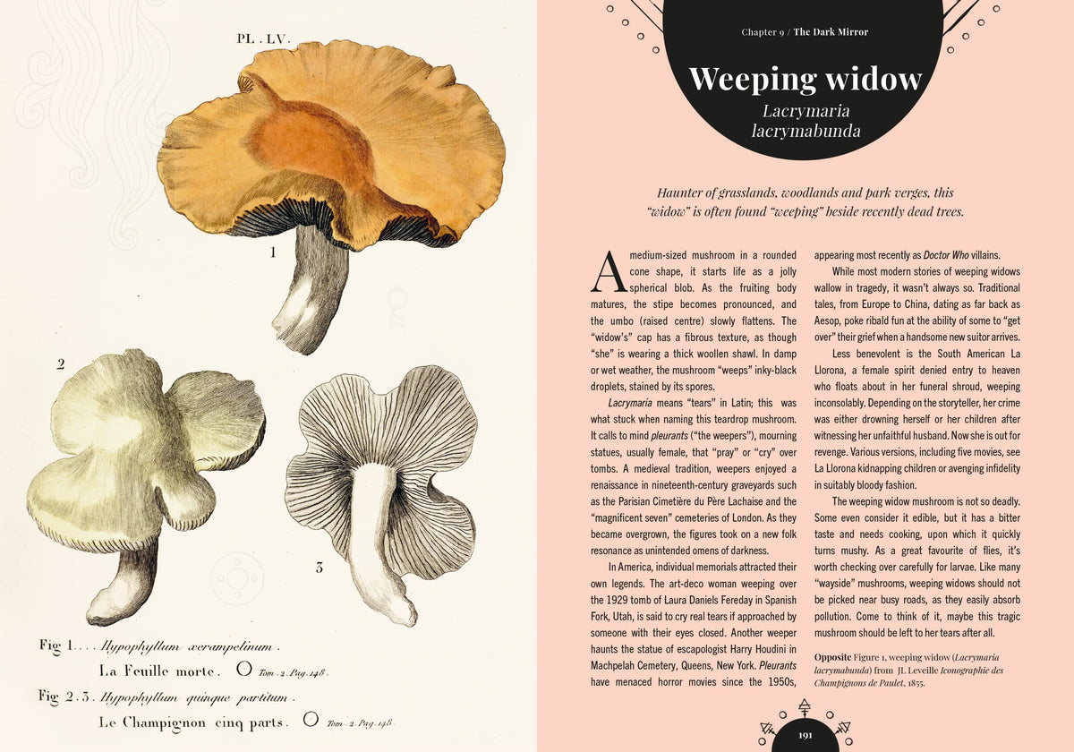 Kew - The Magic of Mushrooms: Fungi in folklore, superstition and traditional medicine (Royal Botanic Gardens, Kew)