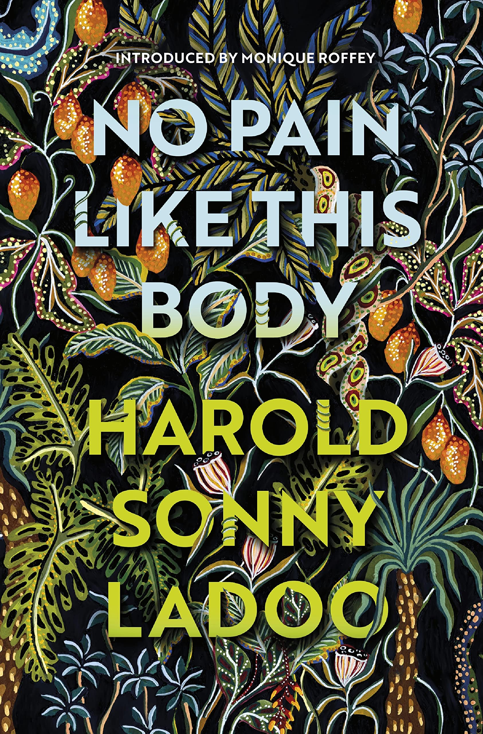 No Pain Like This Body book cover