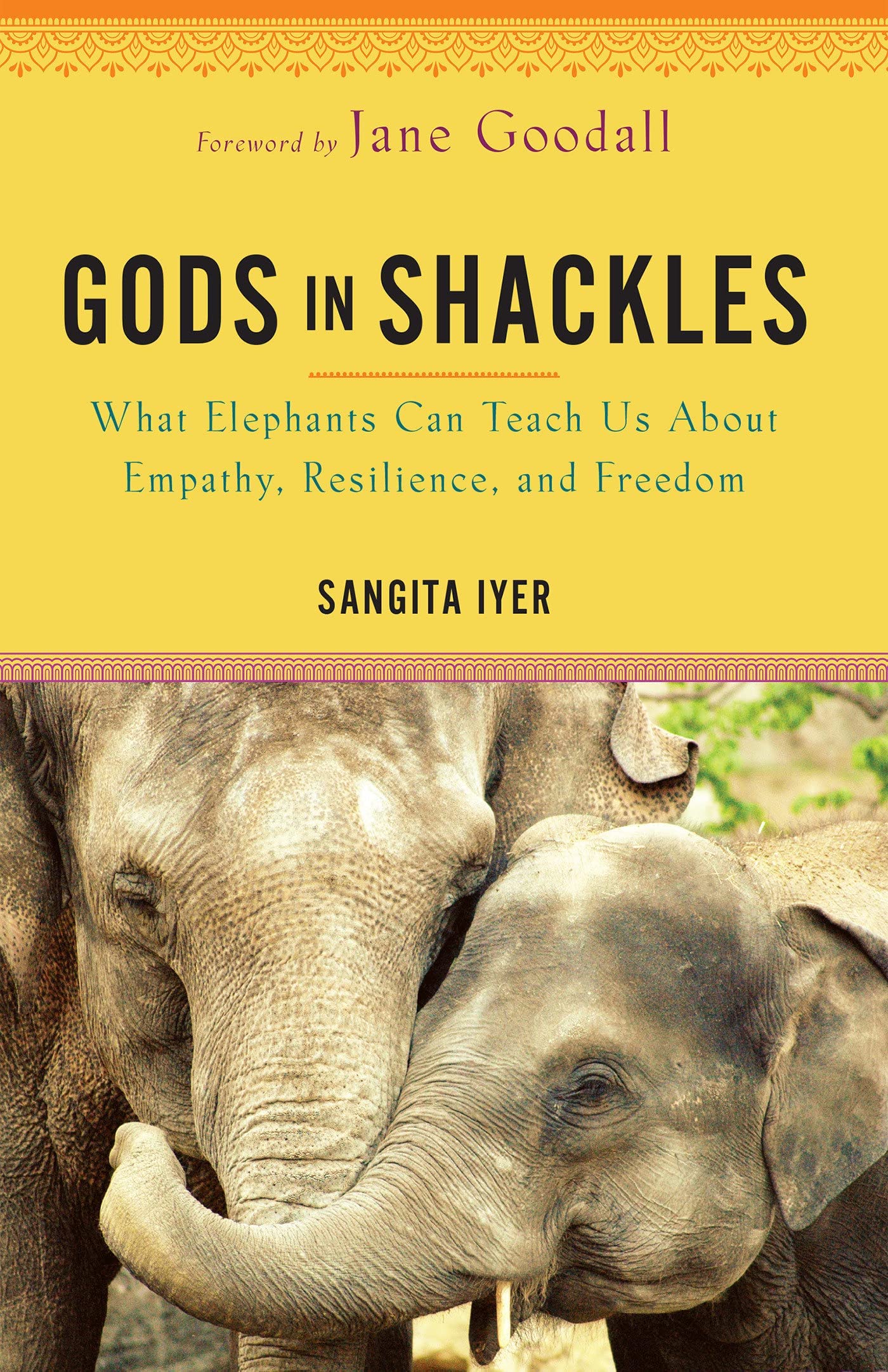 GODS IN SHACKLES: WHAT ELEPHANTS CAN TEACH US ABOUT EMPATHY, RESILIENCE, AND FREEDOM book cover
