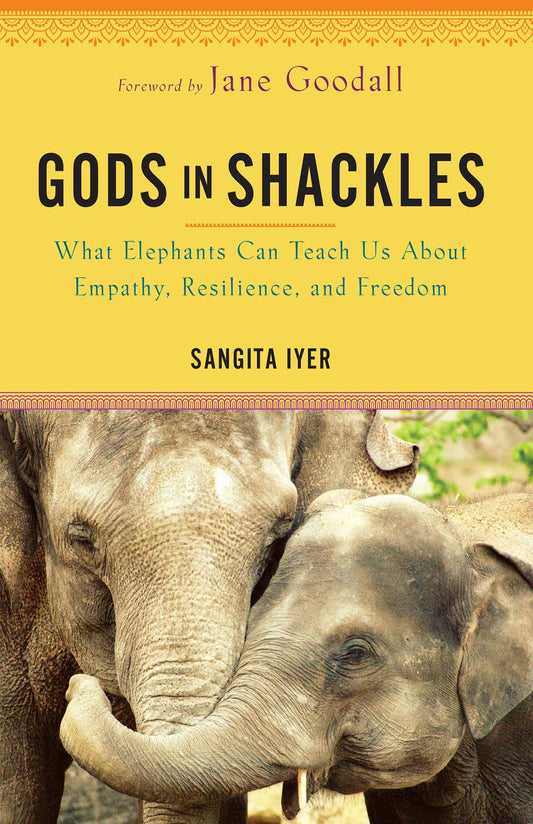 GODS IN SHACKLES: WHAT ELEPHANTS CAN TEACH US ABOUT EMPATHY, RESILIENCE, AND FREEDOM book cover