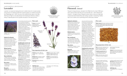 Encyclopedia of Herbal Medicine New Edition: 560 Herbs and Remedies for Common Ailments