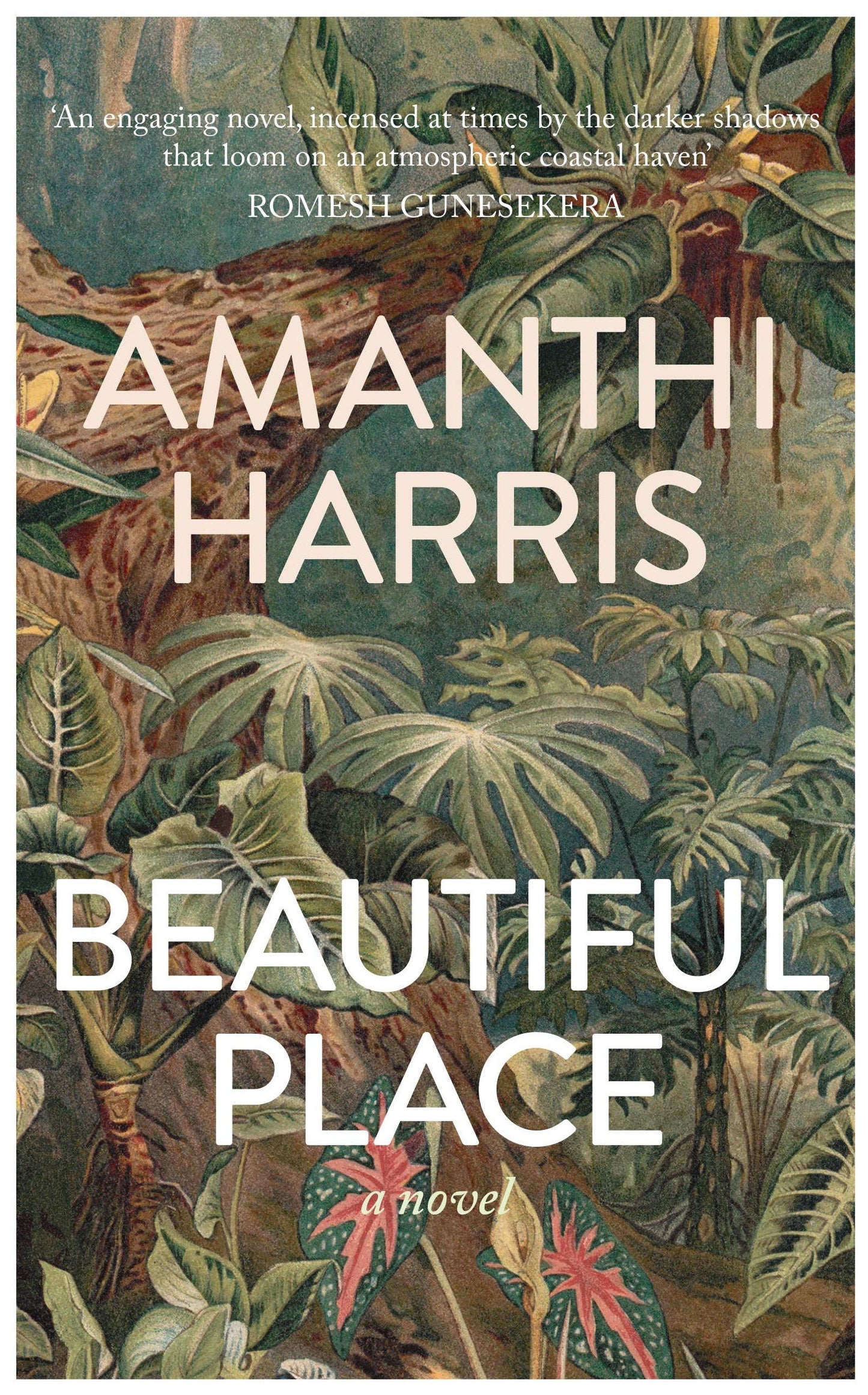 Beautiful Place book cover