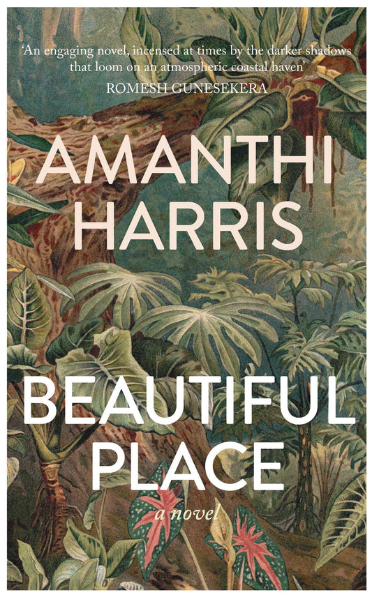 Beautiful Place book cover