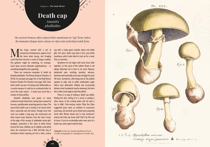 Kew - The Magic of Mushrooms: Fungi in folklore, superstition and traditional medicine (Royal Botanic Gardens, Kew)