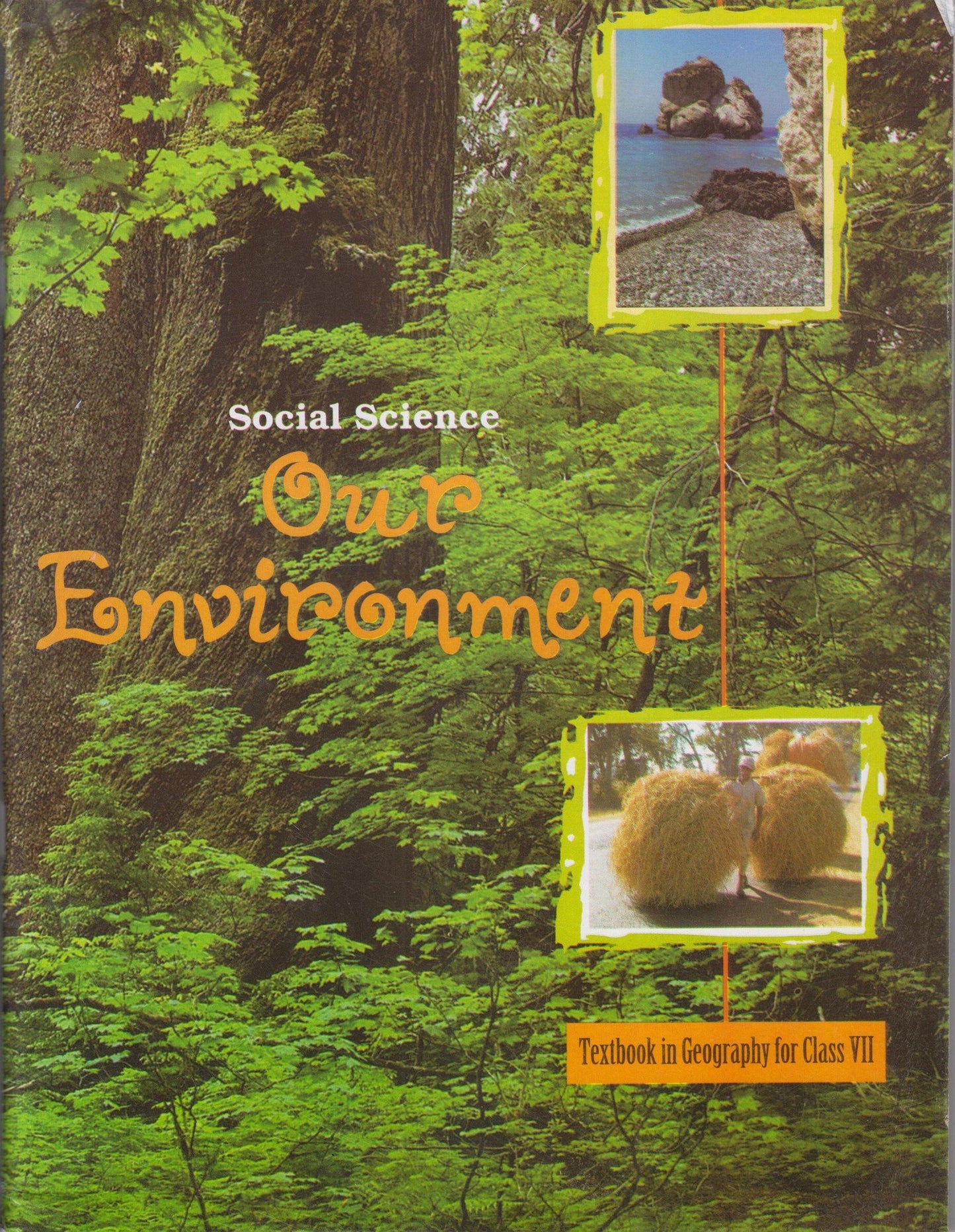Our Environment - Textbook for Geography for Class - 7 [Paperback Shinsho] NCERT by NCERT (Author) book cover
