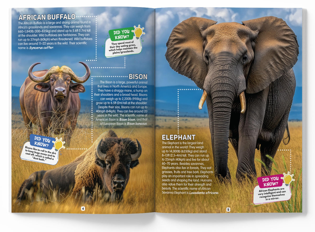 Explore Fantastic World of Animals Picture Encyclopedia