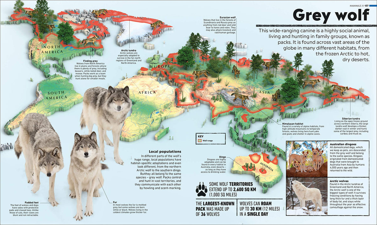 What's Where on Earth? Animal Atlas: The World's Wildlife as You've Never Seen it Before (DK Where on Earth? Atlases)
