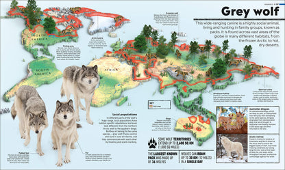 What's Where on Earth? Animal Atlas: The World's Wildlife as You've Never Seen it Before (DK Where on Earth? Atlases)