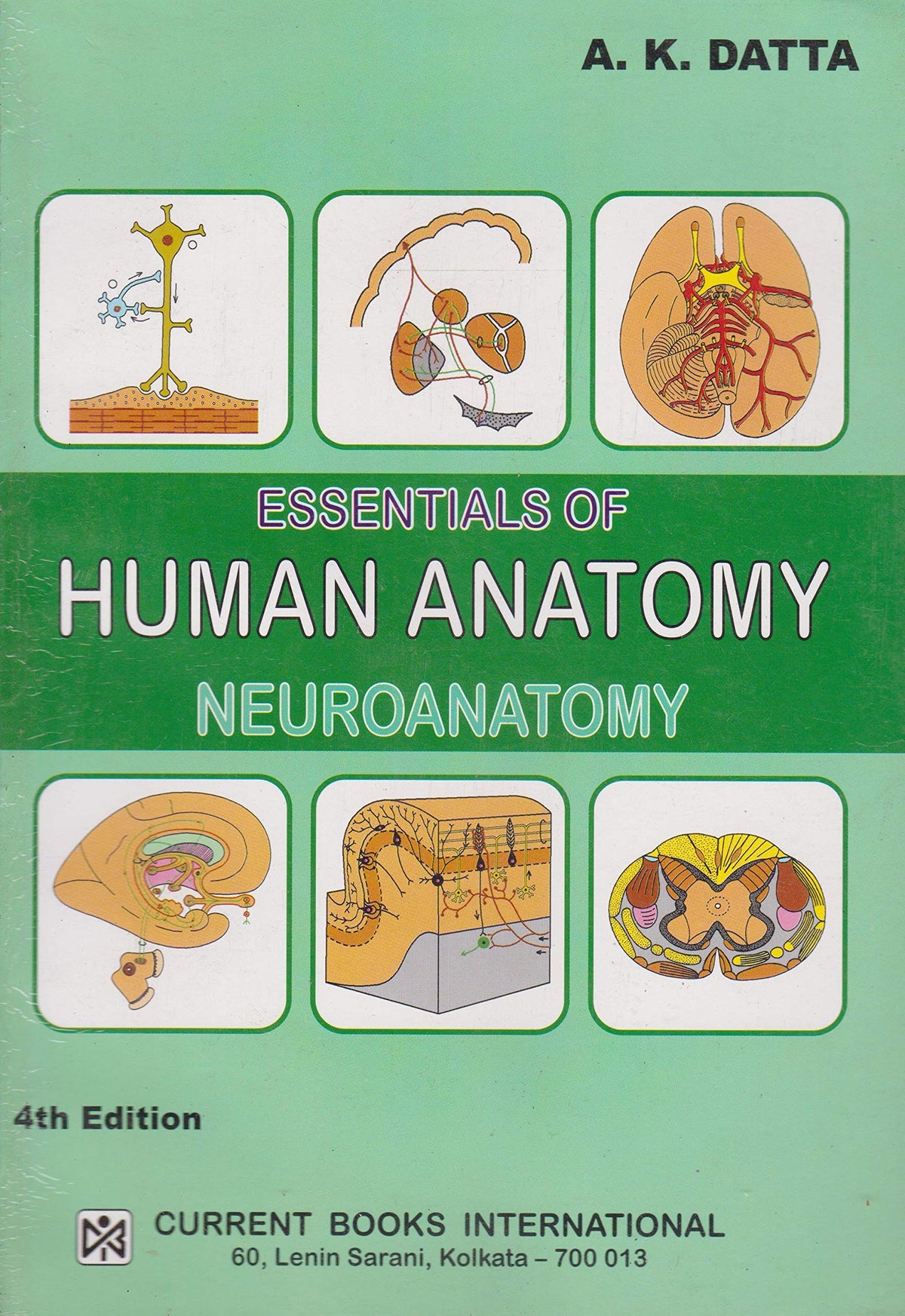 ESSENTIALS OF HUMAN ANATOMY VOLUME 4 NEUROANATOMY 4ED (PB 2025)