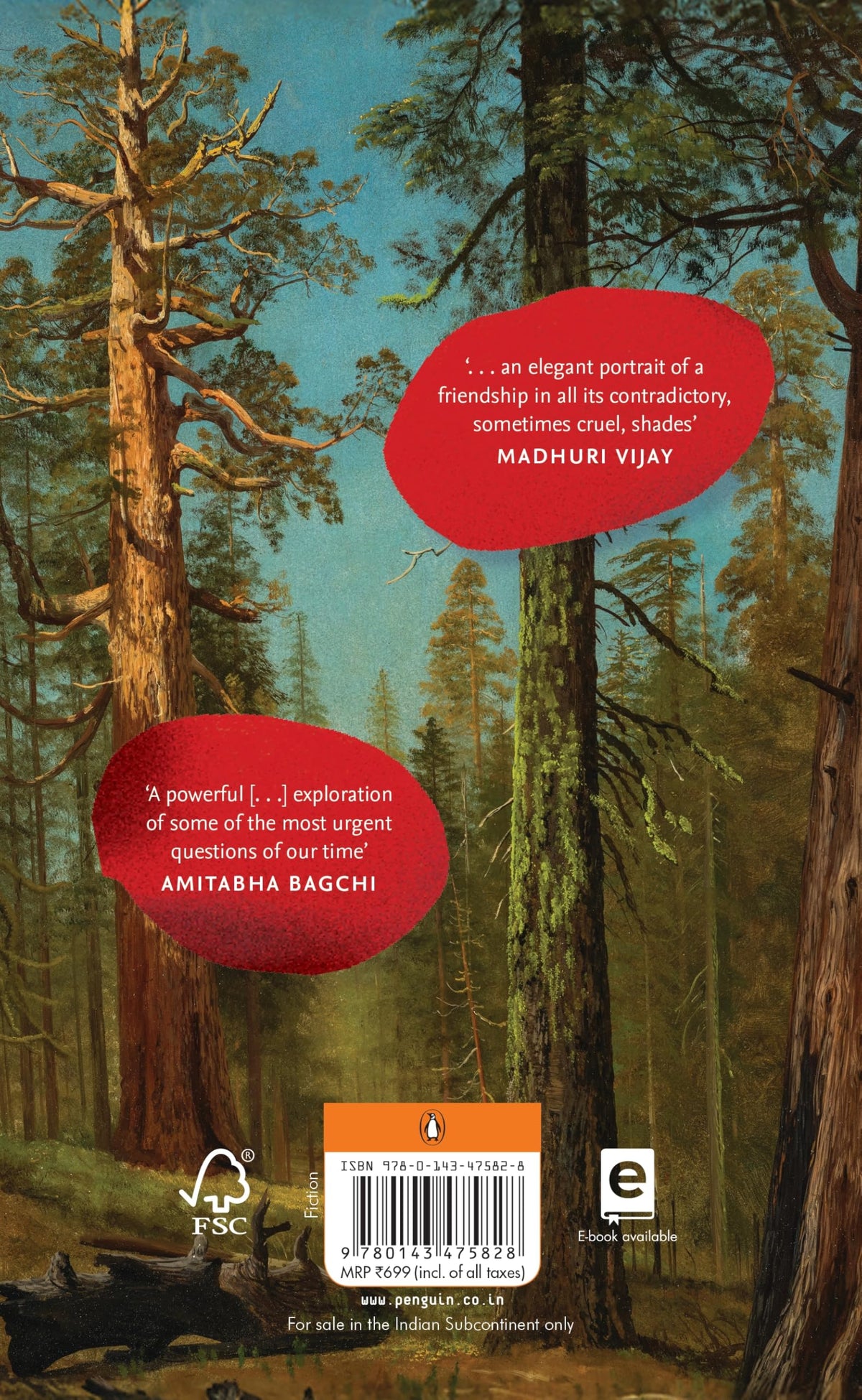 Real Life: A Haunting Literary Mystery Set In The Himalayas | A Story Of Obsession, Silence And Control