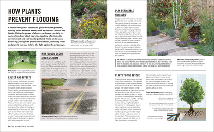 Grow Eco-gardening: Essential Know-how and Expert Advice for Gardening Success