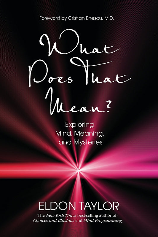 What Does That Mean?: Exploring Mind, Meaning, and Mysteries book cover