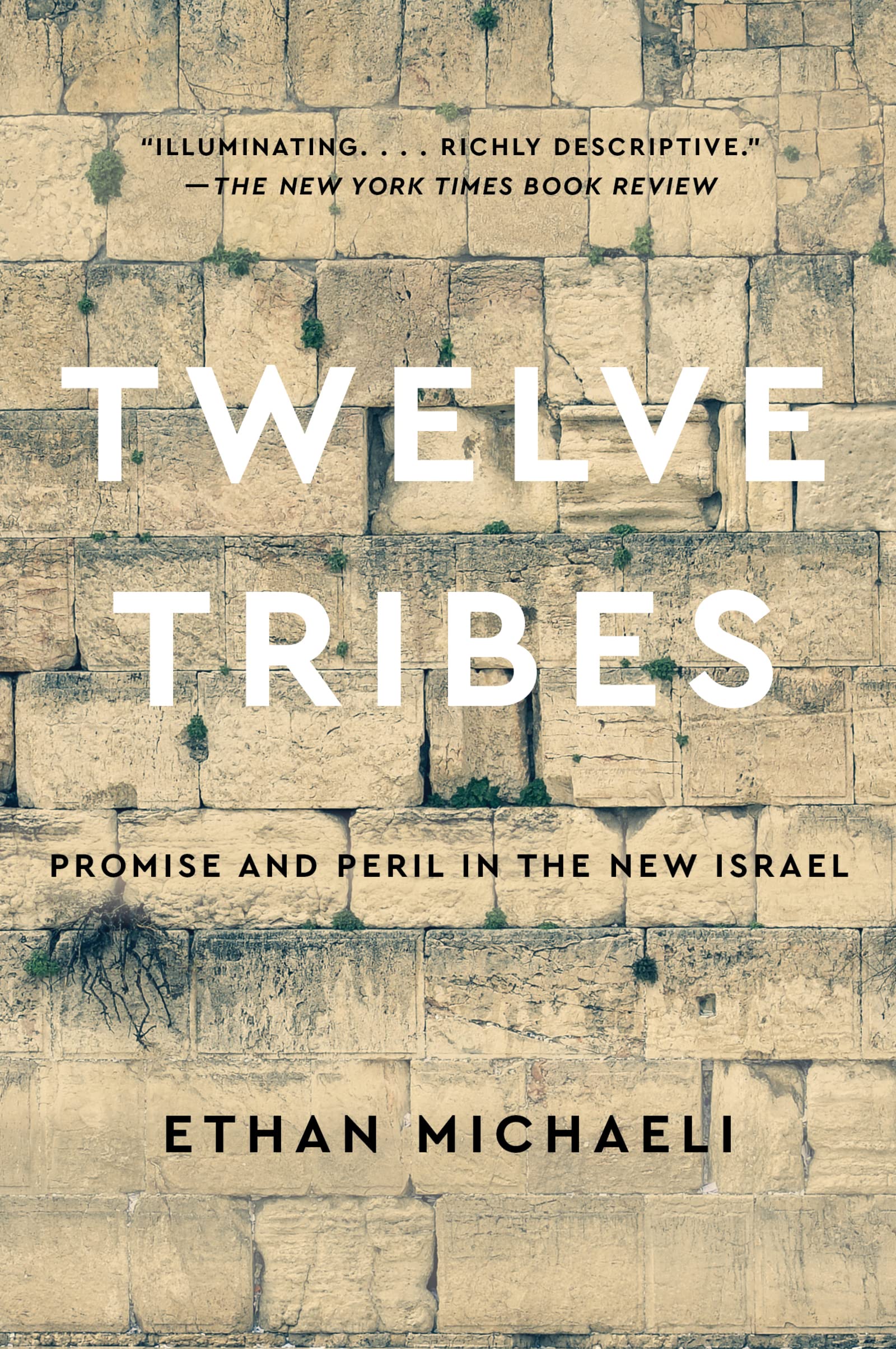 TWELVE TRIBES book cover