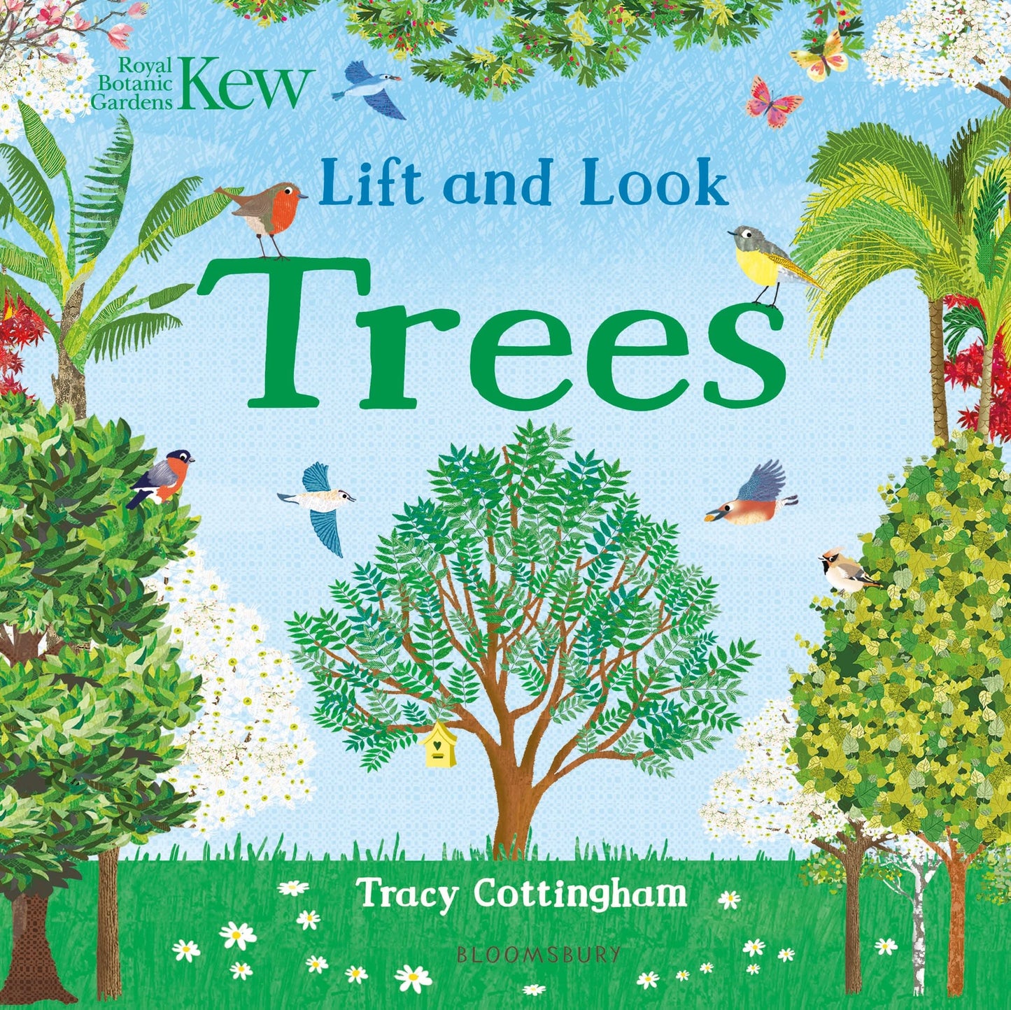 Kew: Lift And Look Trees book cover