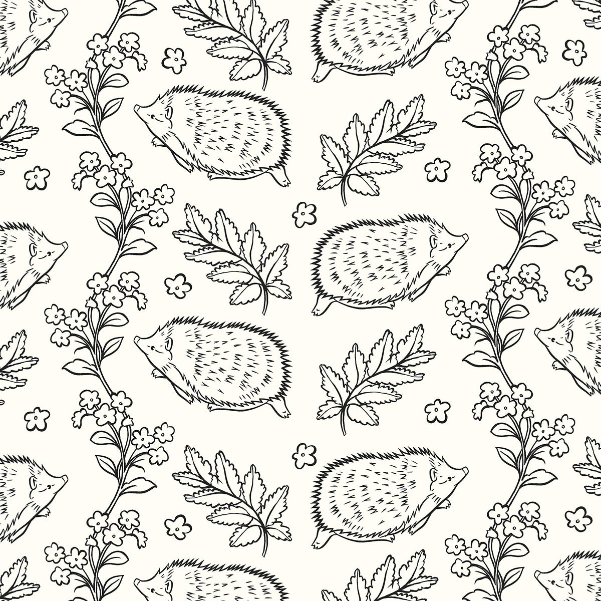 The Beatrix Potter Colouring Book