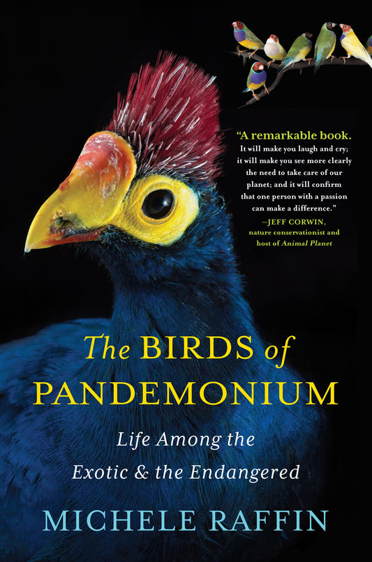 The Birds of Pandemonium: Life Among the Exotic and the Endangered book cover